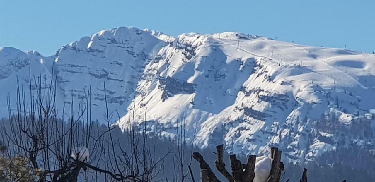 Zum Alten Forsthaus Hotel Reit im Winkl Bagian luar foto