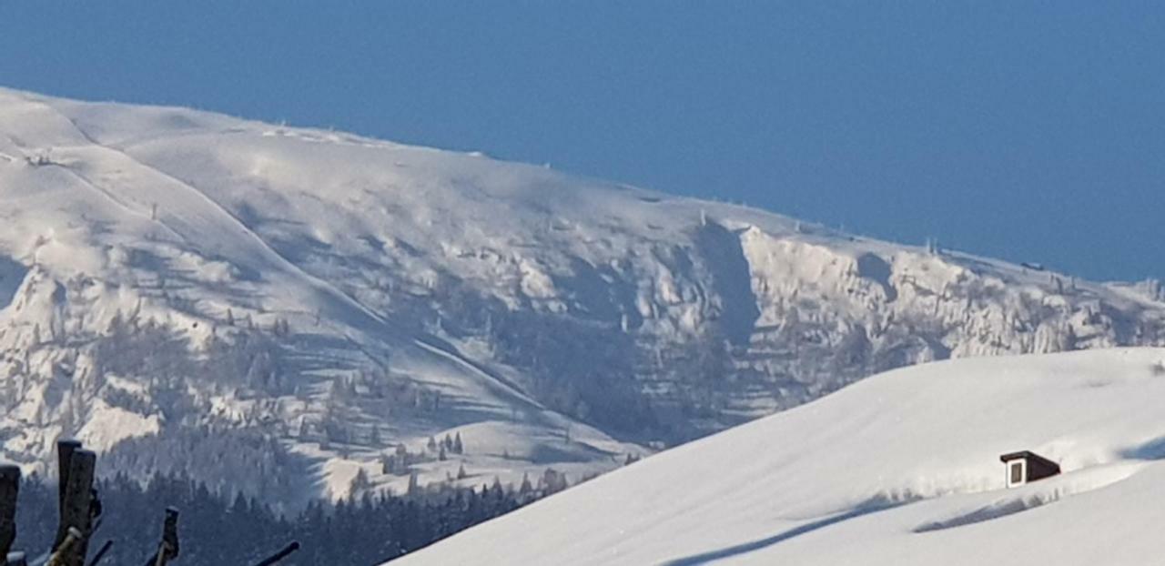 Zum Alten Forsthaus Hotel Reit im Winkl Bagian luar foto