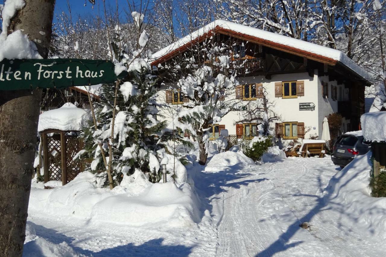 Zum Alten Forsthaus Reit im Winkl Bagian luar foto
